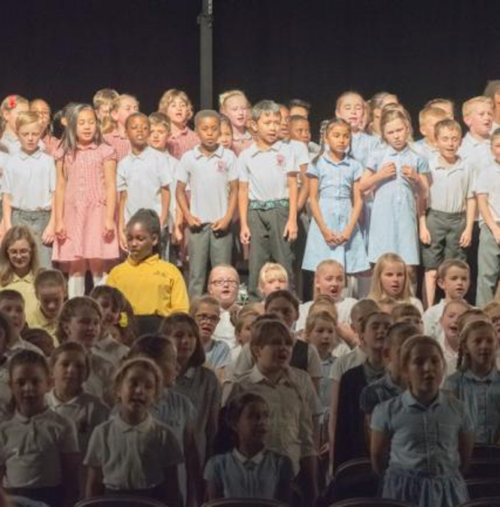 Primary schools image