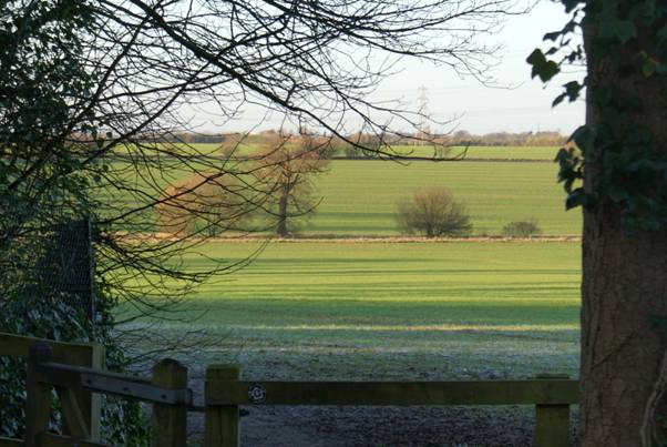 View into Forster country