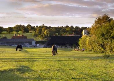 Forster Country image